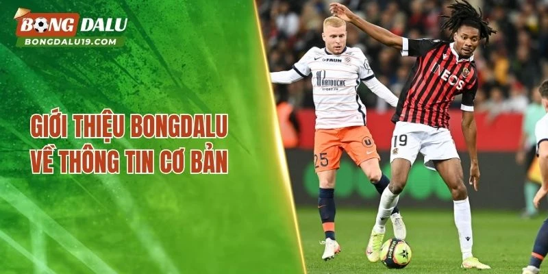 Giới thiệu BONGDALU về thông tin cơ bảnGiới thiệu BONGDALU về thông tin cơ bản