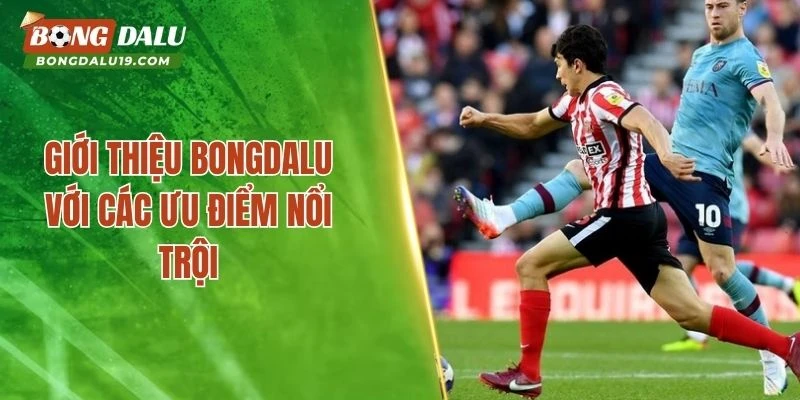 Giới thiệu BONGDALU với các ưu điểm nổi trội