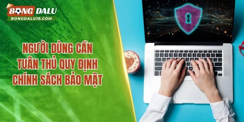 Những nội dung quan trọng về chính sách bảo mật