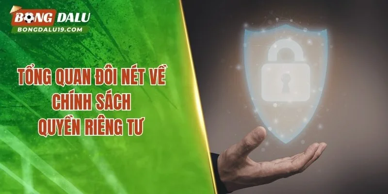 Tổng quan đôi nét về chính sách quyền riêng tư