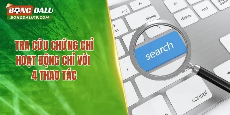 Tra cứu chứng chỉ hoạt động chỉ với 4 thao tác