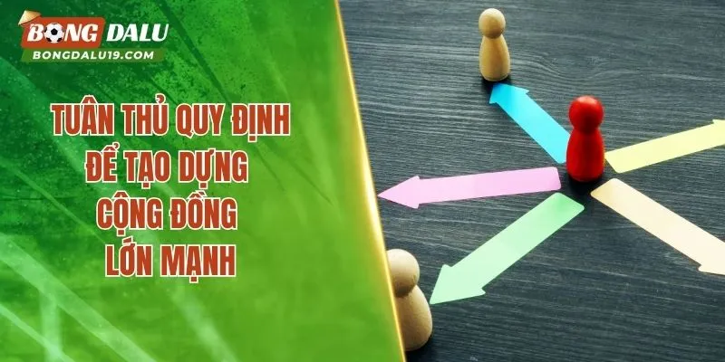 Tuân thủ quy định để tạo dựng cộng đồng lớn mạnh