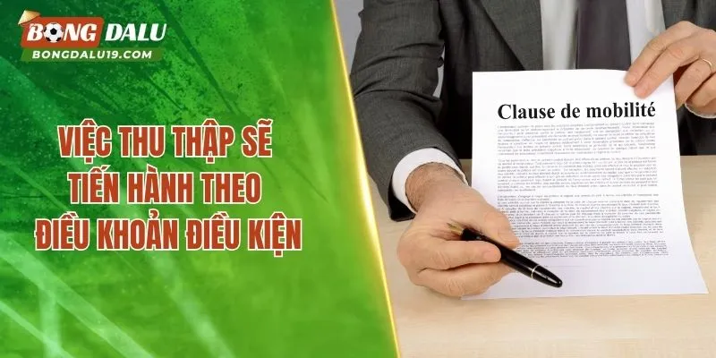 Việc thu thập sẽ tiến hành theo điều khoản điều kiện