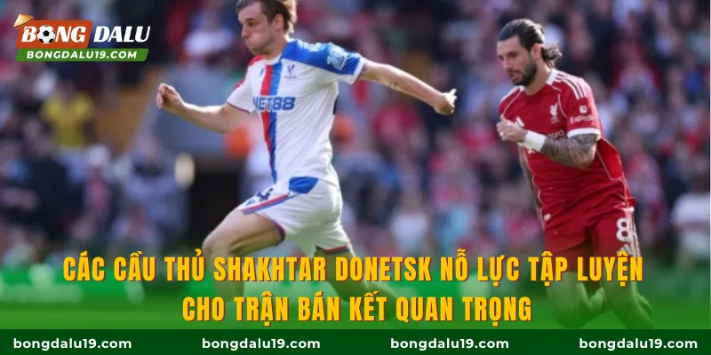 Các cầu thủ Shakhtar Donetsk nỗ lực tập luyện cho trận bán kết quan trọng
