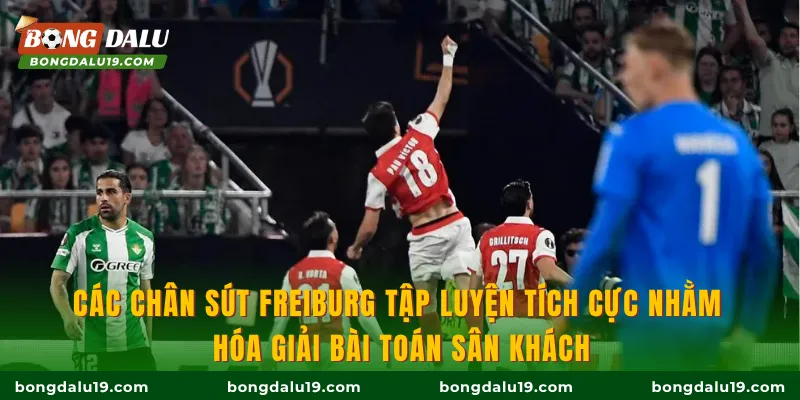 Các chân sút Freiburg tập luyện tích cực nhằm hóa giải bài toán sân khách