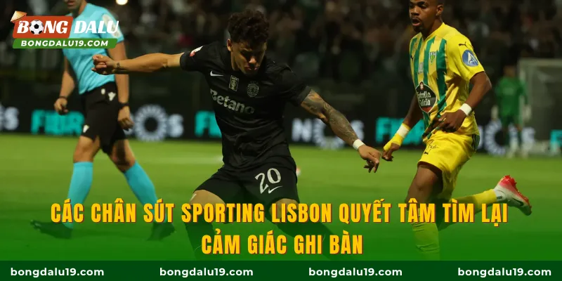 Các chân sút Sporting Lisbon quyết tâm tìm lại cảm giác ghi bàn