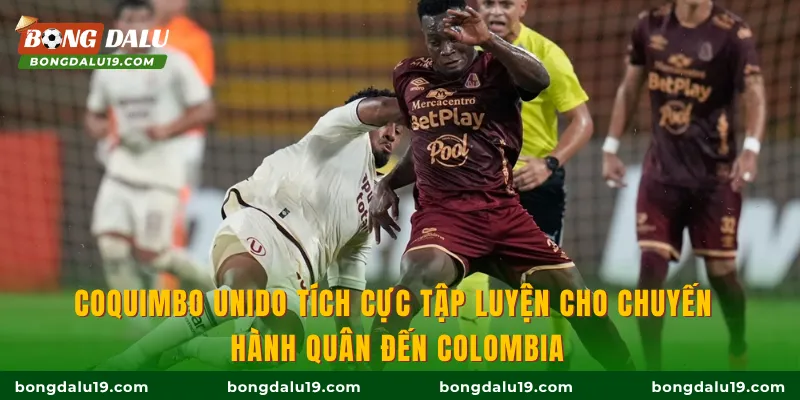 Coquimbo Unido tích cực tập luyện cho chuyến hành quân đến Colombia