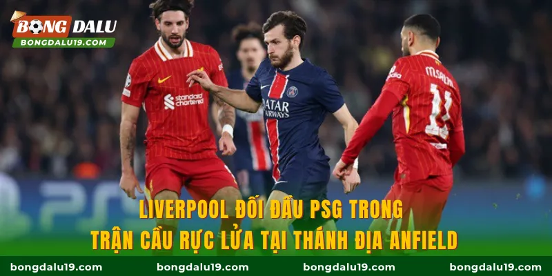 Liverpool đối đầu PSG trong trận cầu rực lửa tại thánh địa Anfield