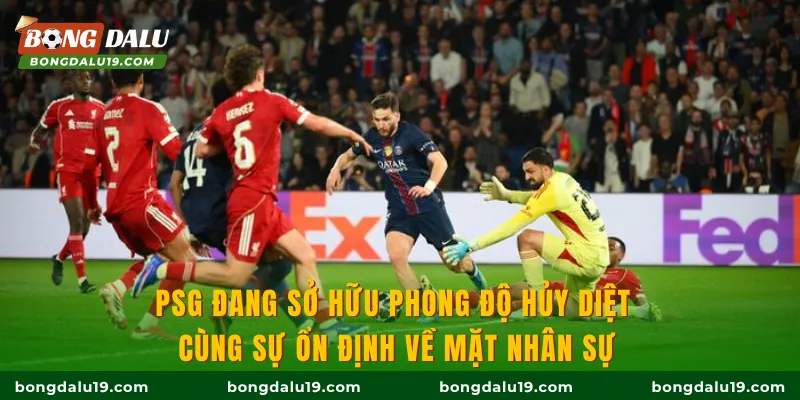 PSG đang sở hữu phong độ hủy diệt cùng sự ổn định về mặt nhân sự