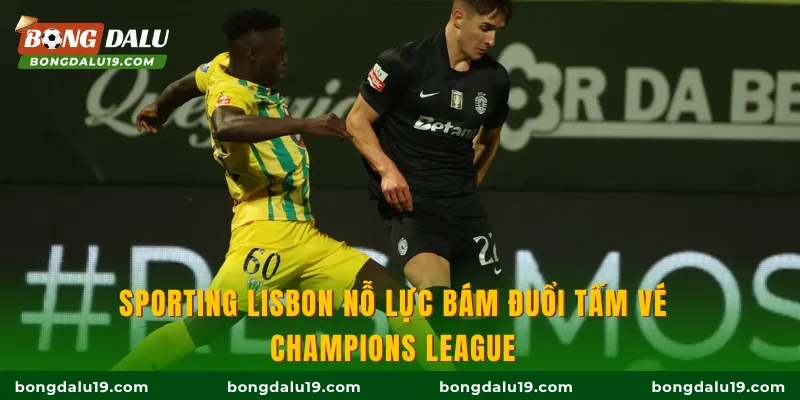 Sporting Lisbon nỗ lực bám đuổi tấm vé Champions League