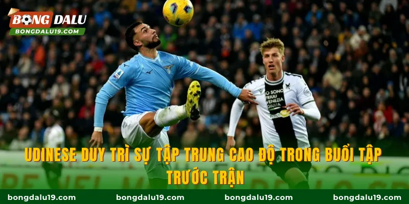 Udinese duy trì sự tập trung cao độ trong buổi tập trước trận