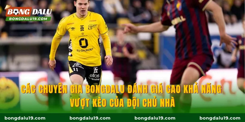 Các chuyên gia BONGDALU đánh giá cao khả năng vượt kèo của đội chủ nhà