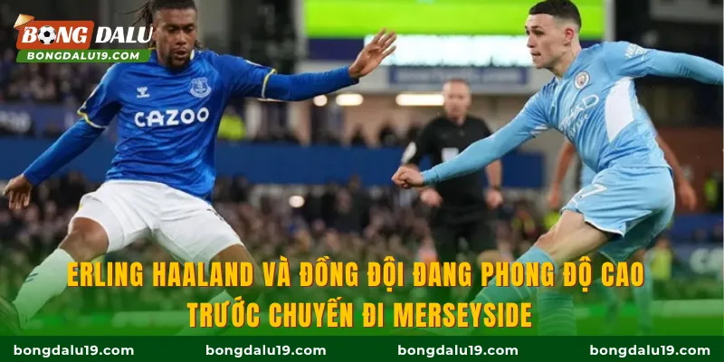 Erling Haaland và đồng đội đang phong độ cao trước chuyến đi Merseyside