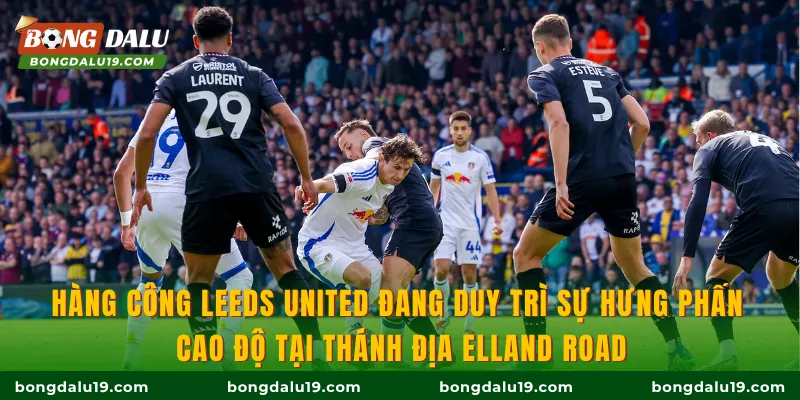 Hàng công Leeds United đang duy trì sự hưng phấn cao độ tại thánh địa Elland Road