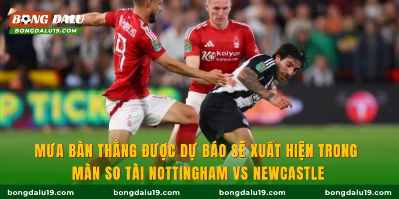 Mưa bàn thắng được dự báo sẽ xuất hiện trong màn so tài Nottingham vs Newcastle