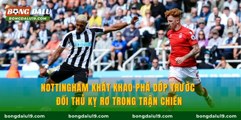 Nottingham khát khao phá dớp trước đối thủ kỵ rơ trong trận chiến