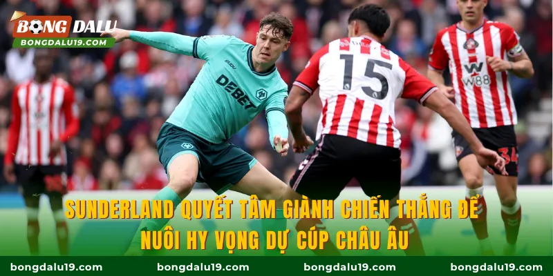 Sunderland quyết tâm giành chiến thắng để nuôi hy vọng dự cúp Châu Âu