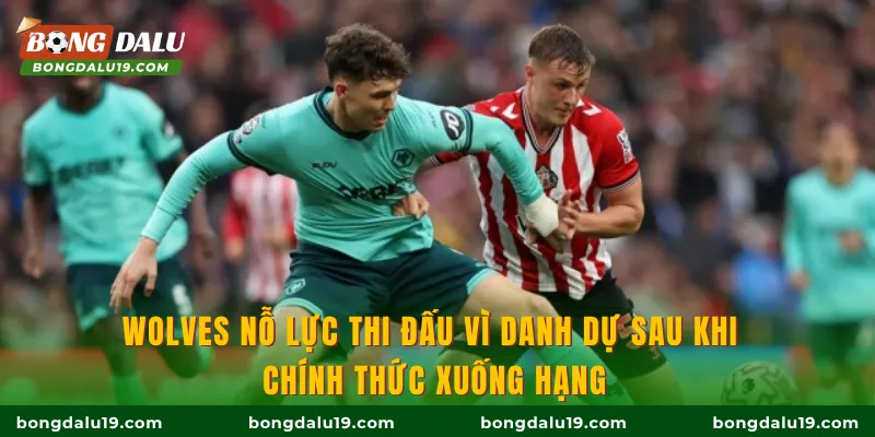 Wolves nỗ lực thi đấu vì danh dự sau khi chính thức xuống hạng