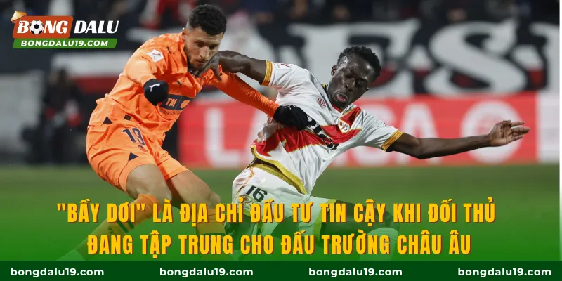 "Bầy dơi" là địa chỉ đầu tư tin cậy khi đối thủ đang tập trung cho đấu trường Châu Âu