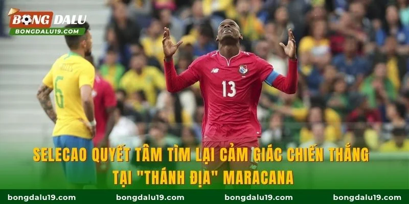 Selecao quyết tâm tìm lại cảm giác chiến thắng tại "thánh địa" Maracana