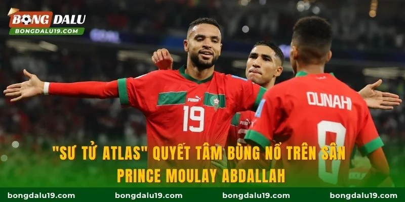 "Sư tử Atlas" quyết tâm bùng nổ trên sân Prince Moulay Abdallah
