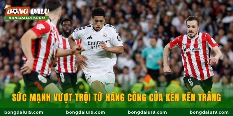 Sức mạnh vượt trội từ hàng công của Kền kền trắng
