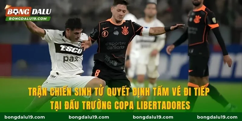 Trận chiến sinh tử quyết định tấm vé đi tiếp tại đấu trường Copa Libertadores