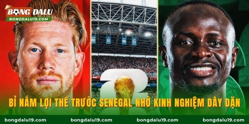 Bỉ nắm lợi thế trước Senegal nhờ kinh nghiệm dày dặn