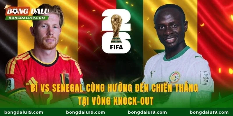 Bỉ vs Senegal cùng hướng đến chiến thắng tại vòng knock-out