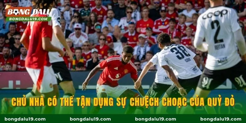 Chủ nhà có thể tận dụng sự chuệch choạc của Quỷ đỏ