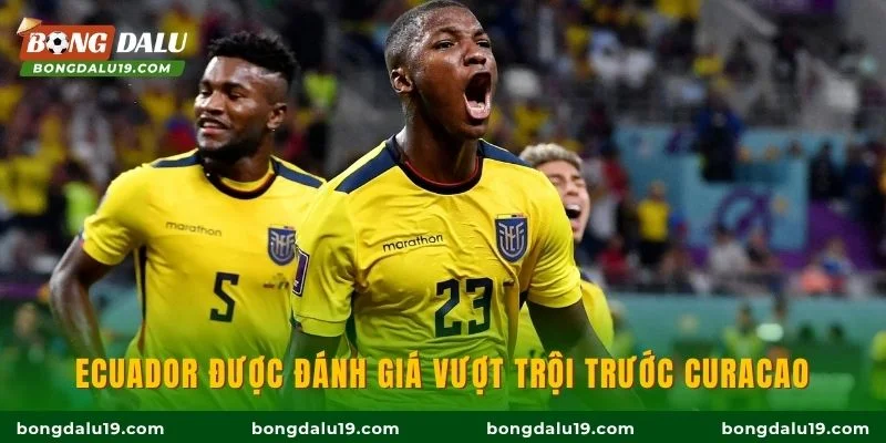 Ecuador được đánh giá vượt trội trước Curacao