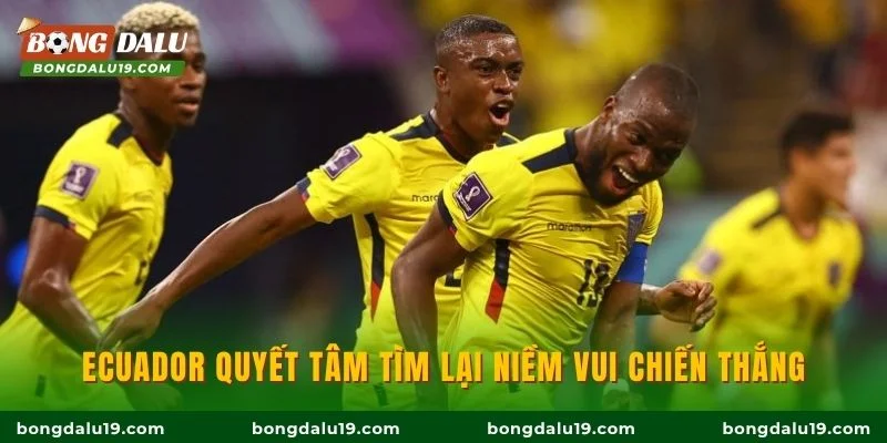 Ecuador quyết tâm tìm lại niềm vui chiến thắng