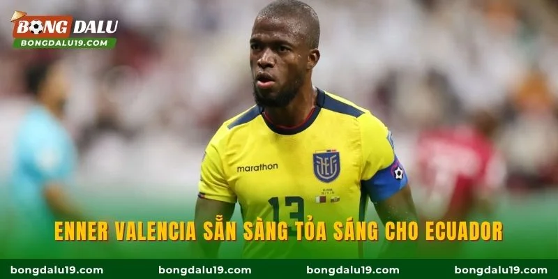Enner Valencia sẵn sàng tỏa sáng cho Ecuador