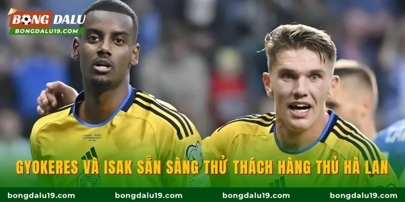 Gyokeres và Isak sẵn sàng thử thách hàng thủ Hà Lan