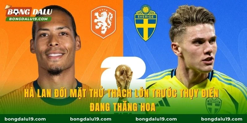 Hà Lan đối mặt thử thách lớn trước Thụy Điển đang thăng hoa
