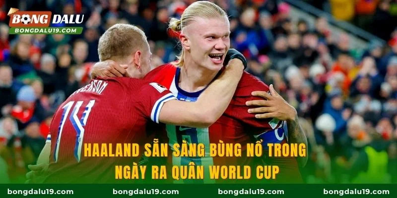 Haaland sẵn sàng bùng nổ trong ngày ra quân World Cup