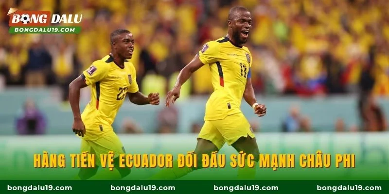 Hàng tiền vệ Ecuador đối đầu sức mạnh châu Phi
