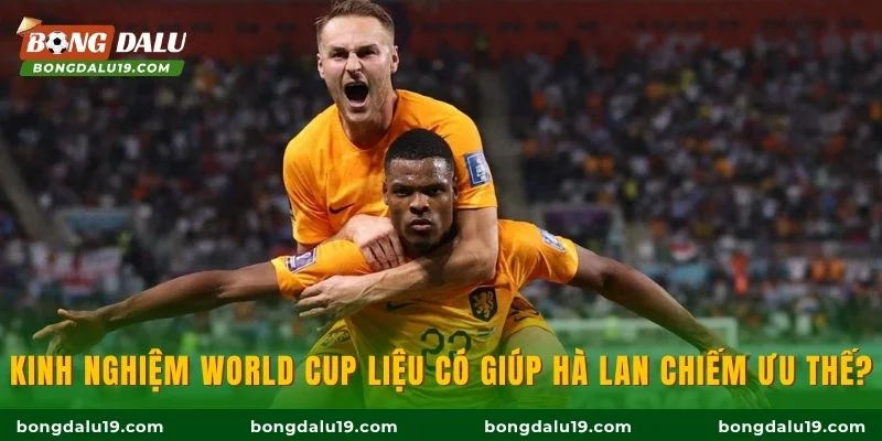Kinh nghiệm World Cup liệu có giúp Hà Lan chiếm ưu thế?