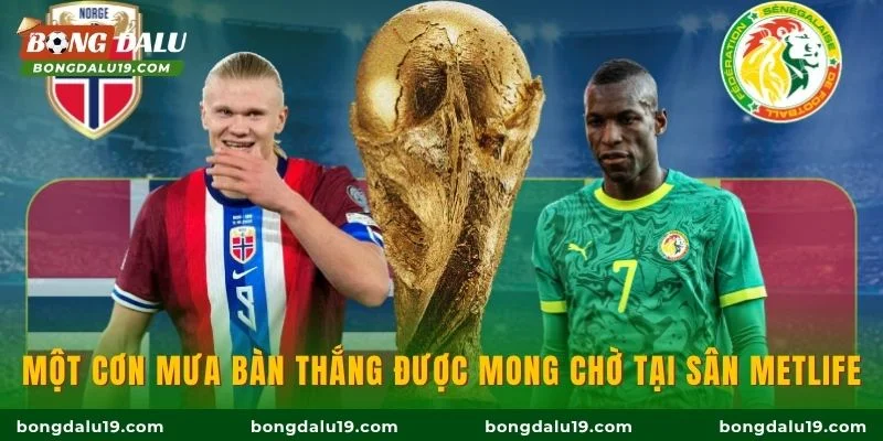 Một cơn mưa bàn thắng được mong chờ tại sân MetLife