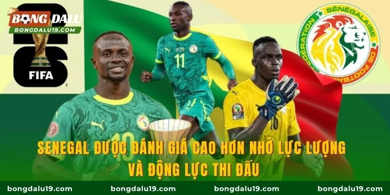 Senegal được đánh giá cao hơn nhờ lực lượng và động lực thi đấu