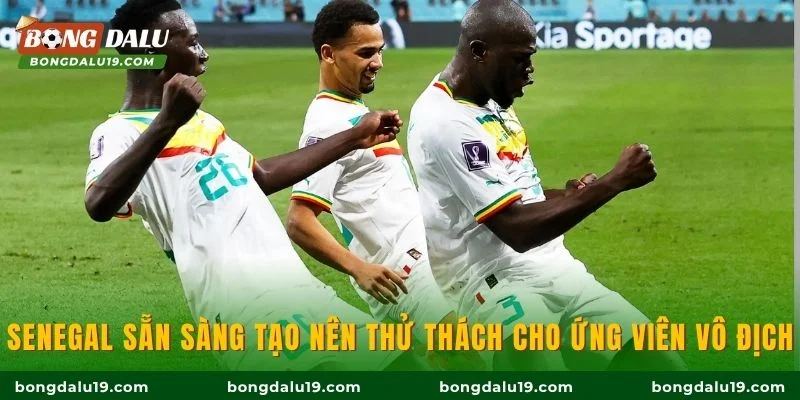 Senegal sẵn sàng tạo nên thử thách cho ứng viên vô địch