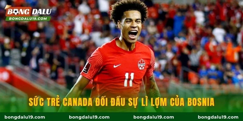 Sức trẻ Canada đối đầu sự lì lợm của Bosnia